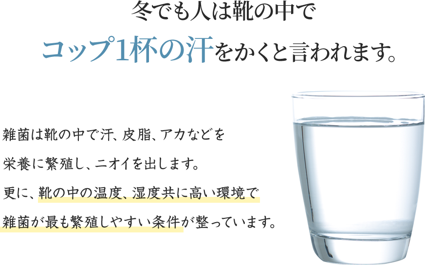 冬でも人は靴の中でコップ1杯の汗をかくと言われます。